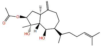3-Acetoxydictyotatriol A